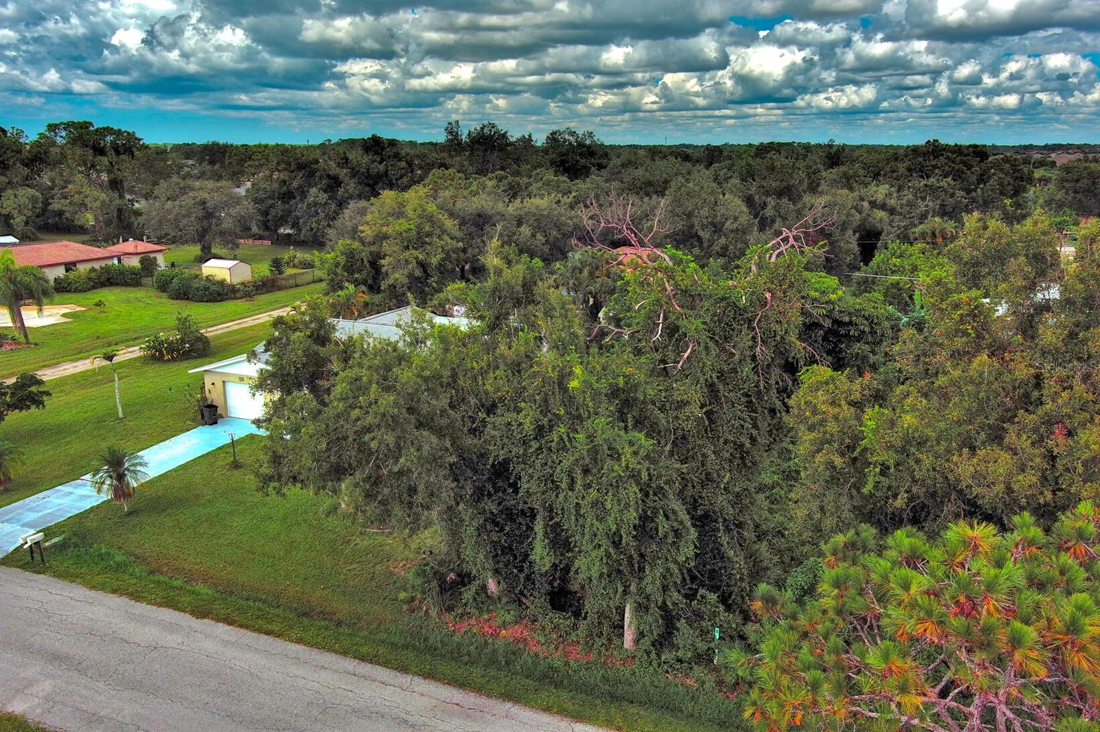 Gillespie Street, FL