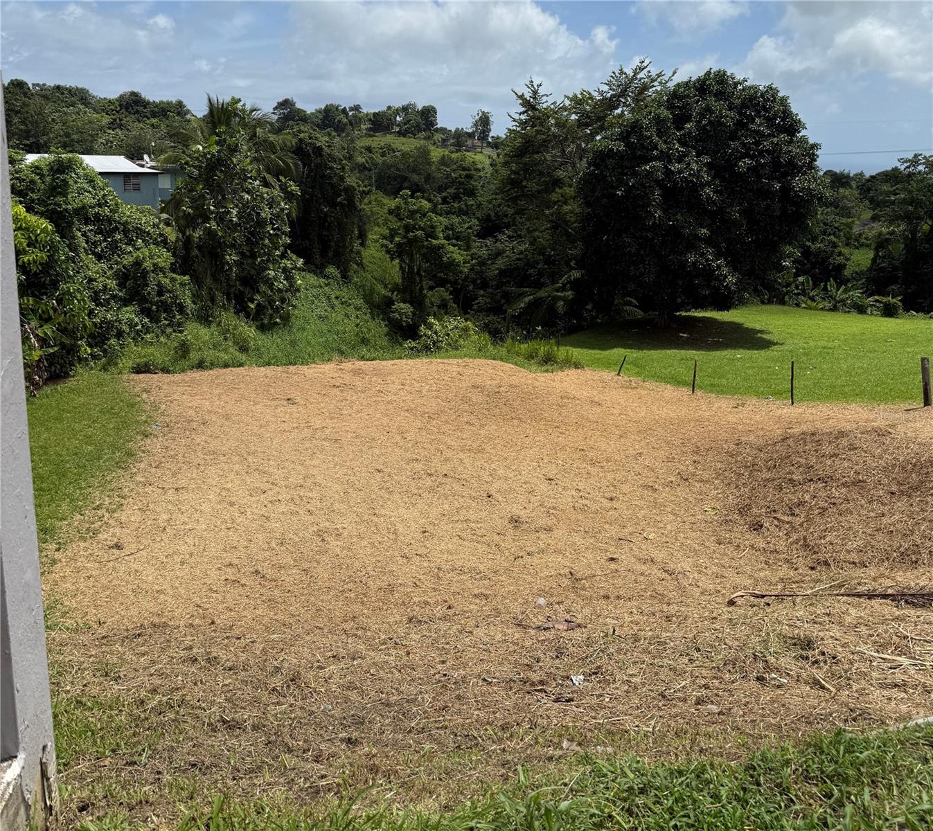 Bo. Tejas, PR