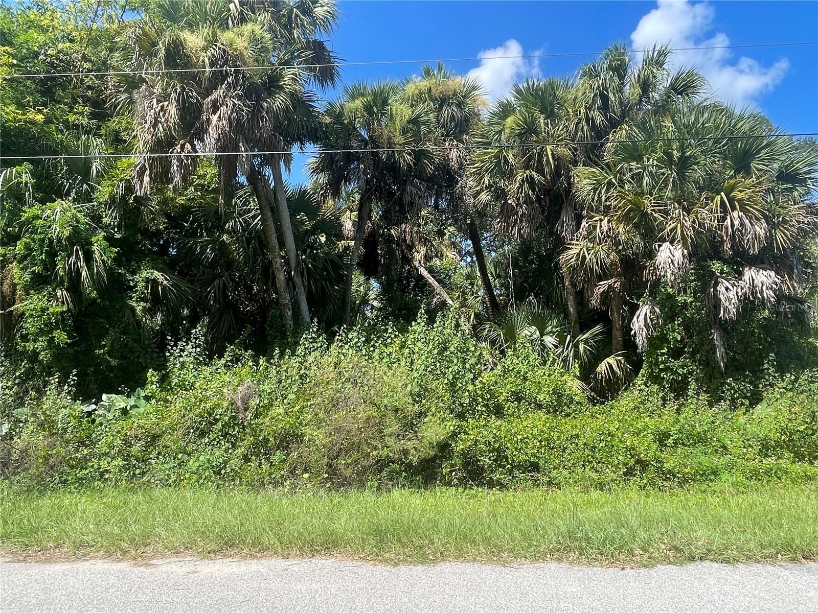 Snyder   (Lot 6 Block 1019) Street, FL
