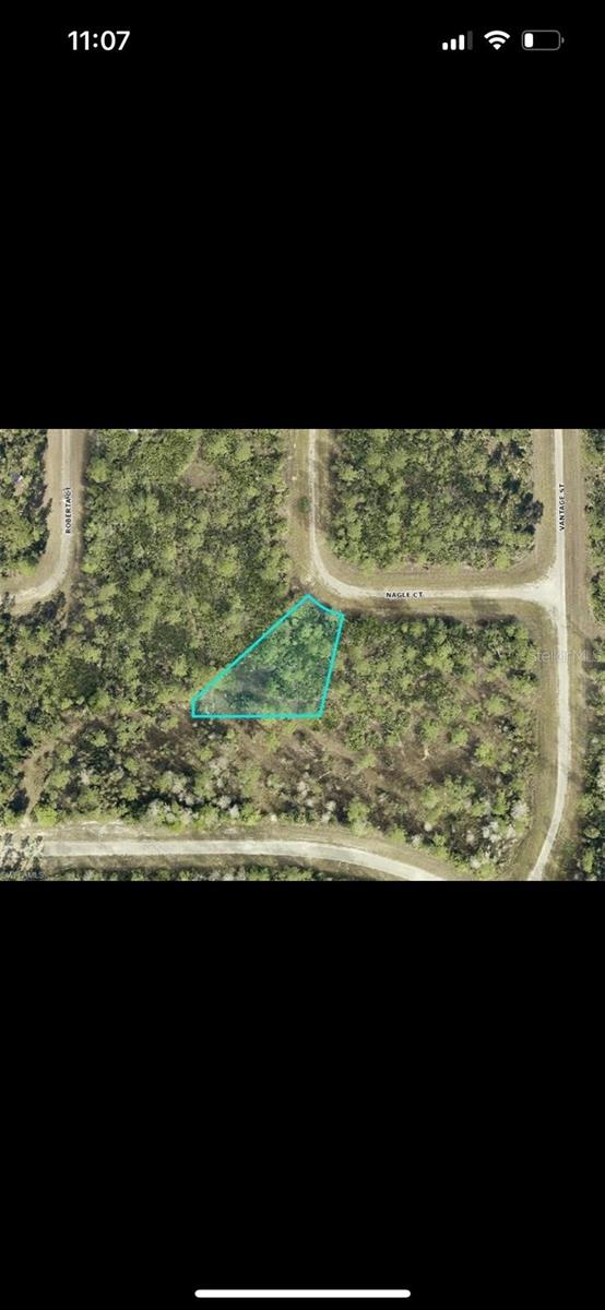 307 Nagle Court, FL