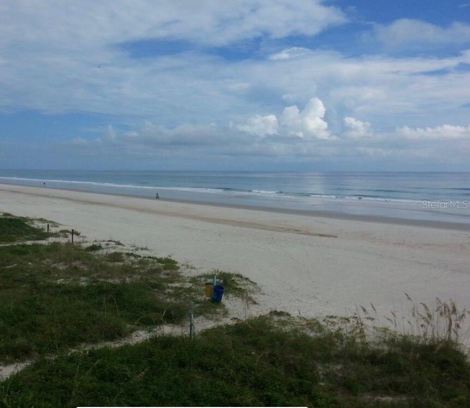 4453 S Atlantic Ave #208, FL