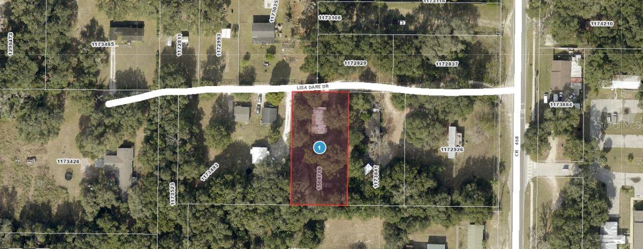 2144 Lisa Dare Drive, FL