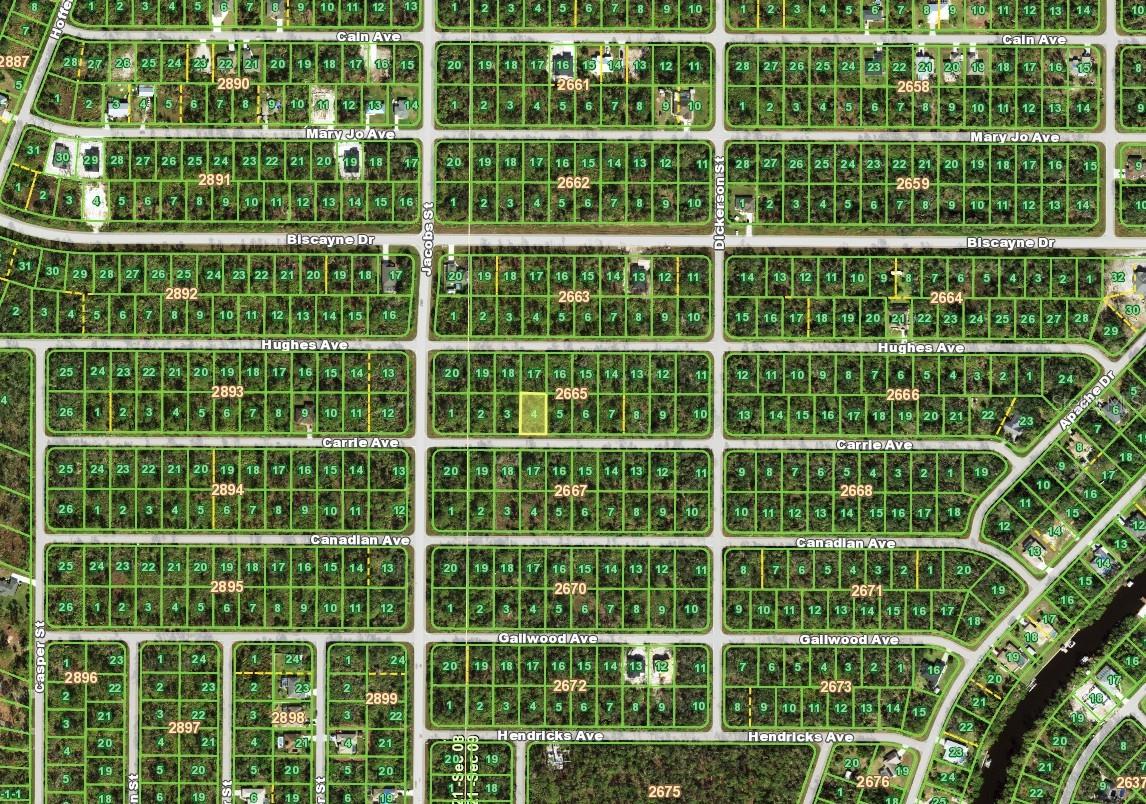 14028 Carrie Avenue, FL