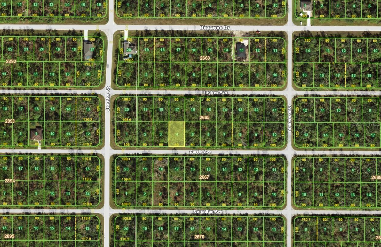 14028 Carrie Avenue, FL