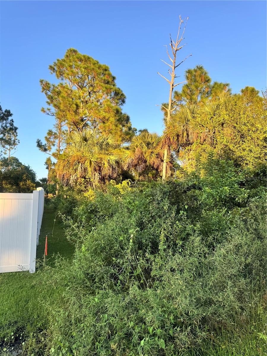 Colorade Avenue, FL
