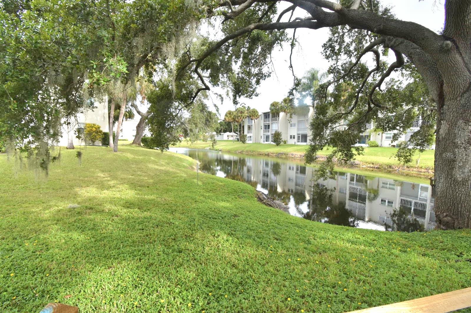940 Virginia Street, FL