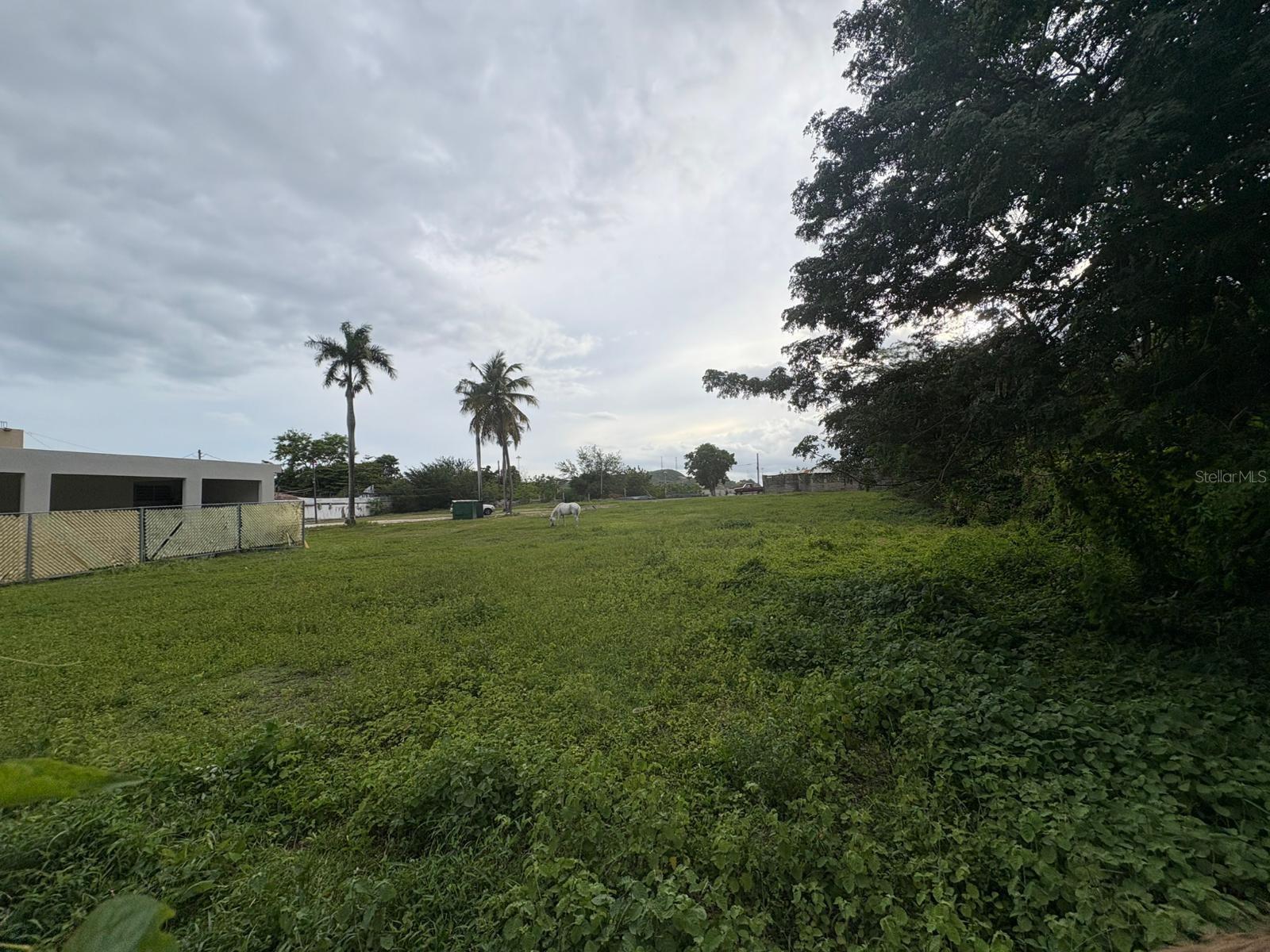 1 Juana Diaz, PR