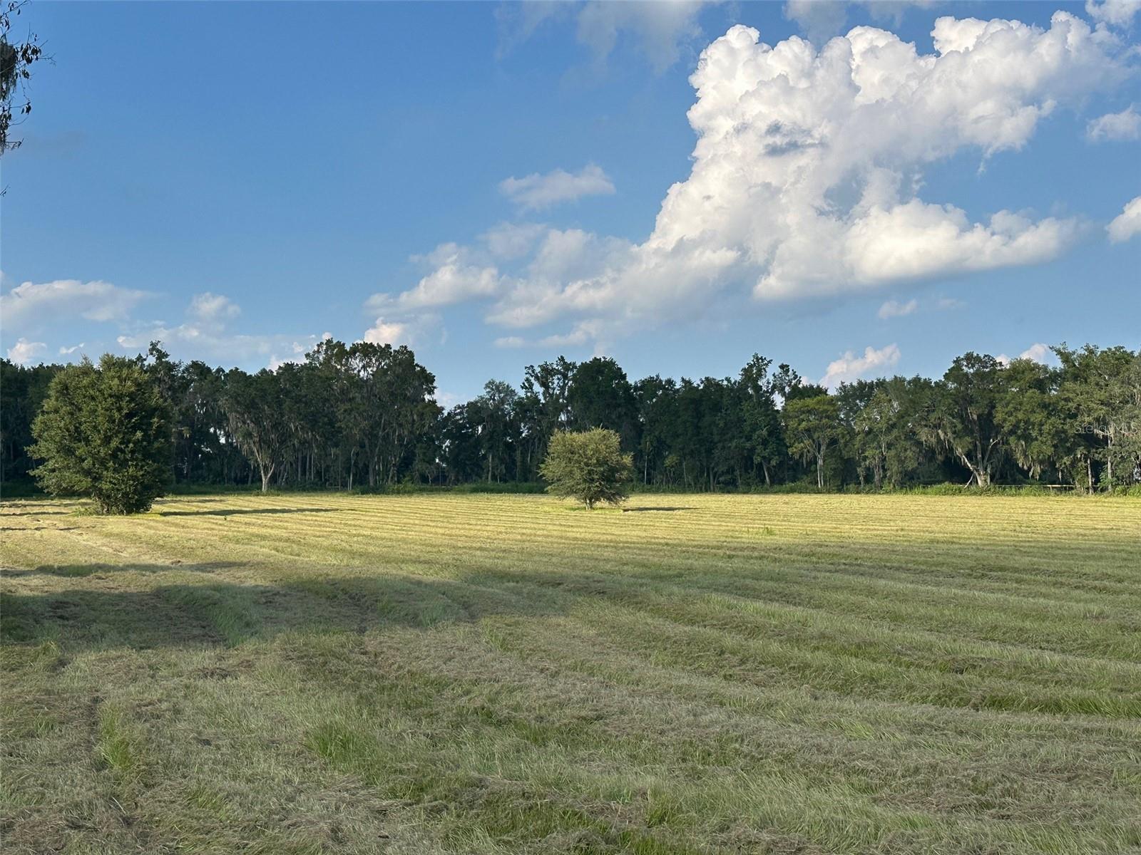 Tbd 100th Avenue, FL