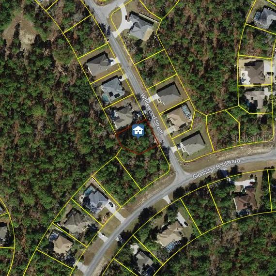 101 Whitewood Street, FL