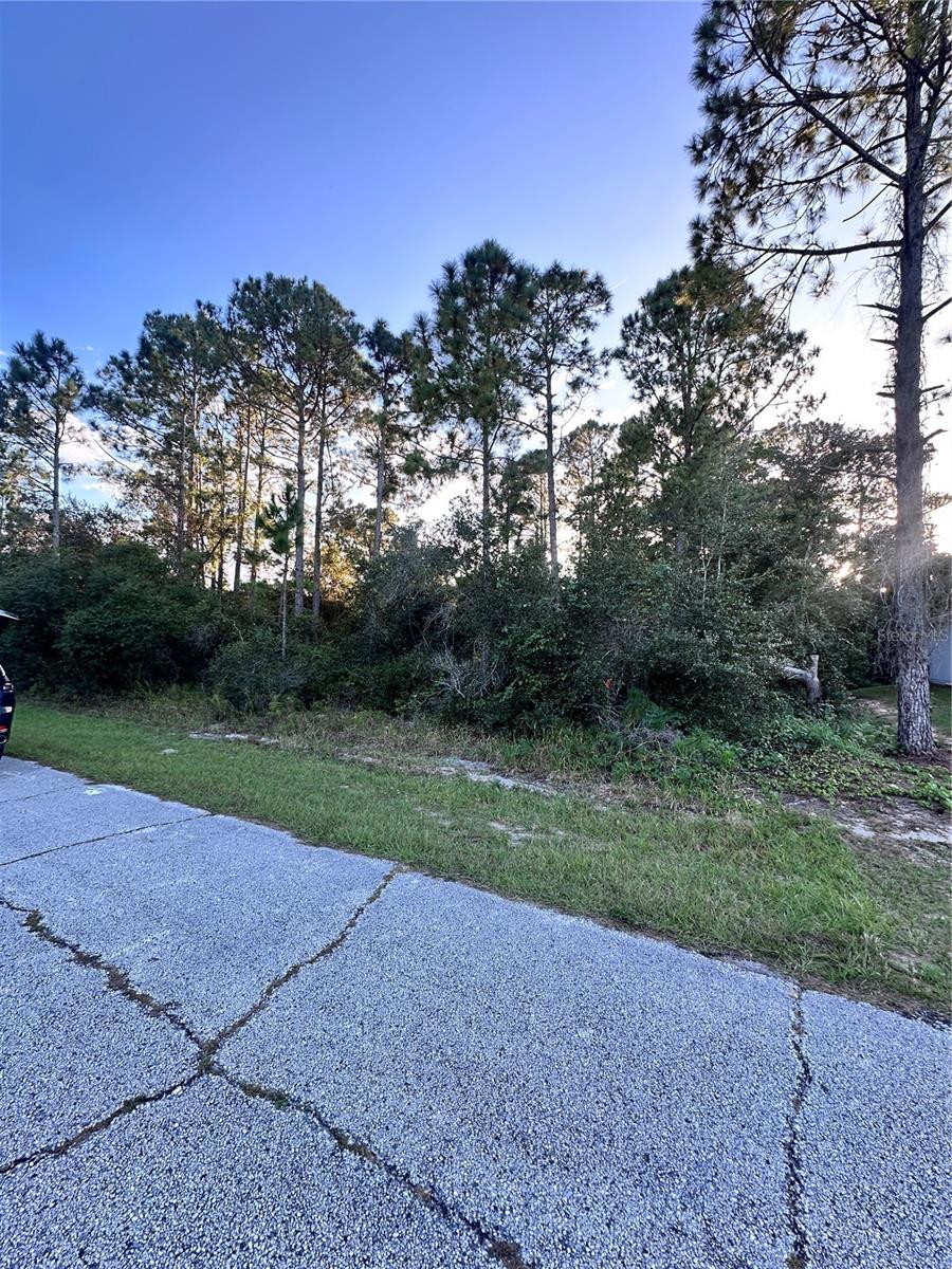 1548 Mediterranean Drive, FL
