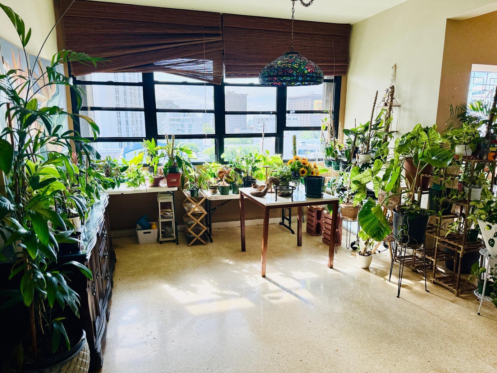 267 San Jorge Ave., PR