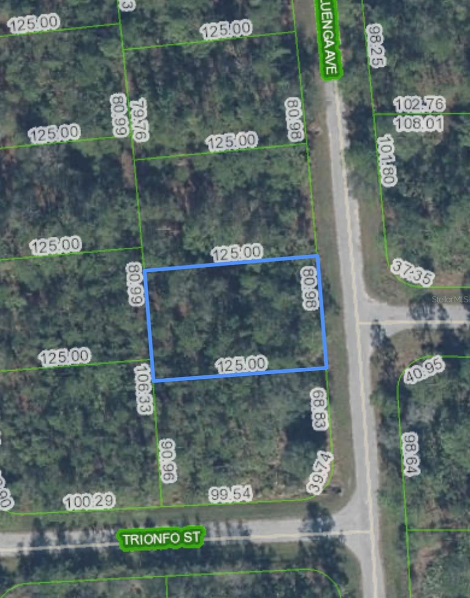 5119 Luenga Ave, FL