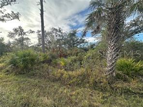 883 Bowman Terrace, FL
