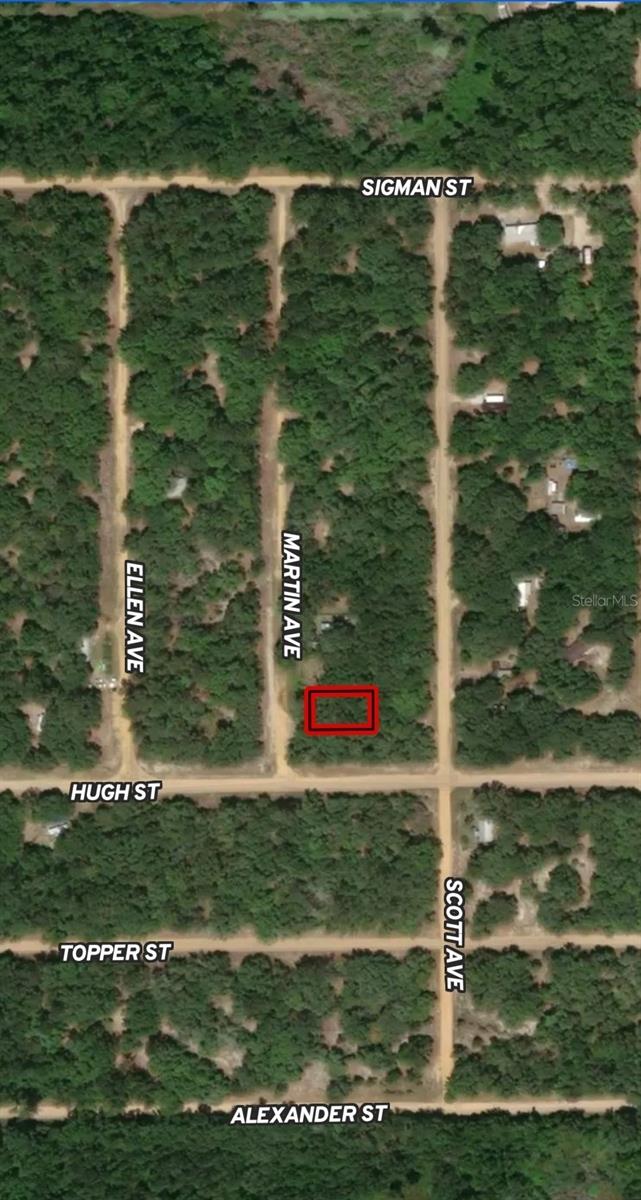 Lot 13 Martin Avenue, FL