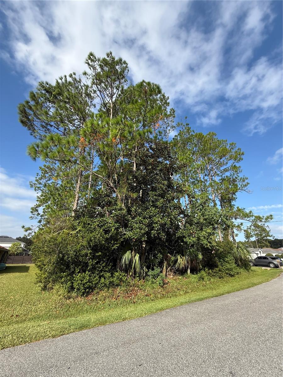 19 Lindberg Lane, FL