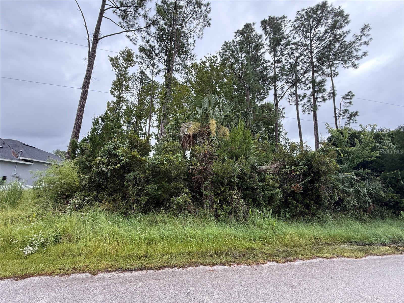 124 Fenimore Ln, FL