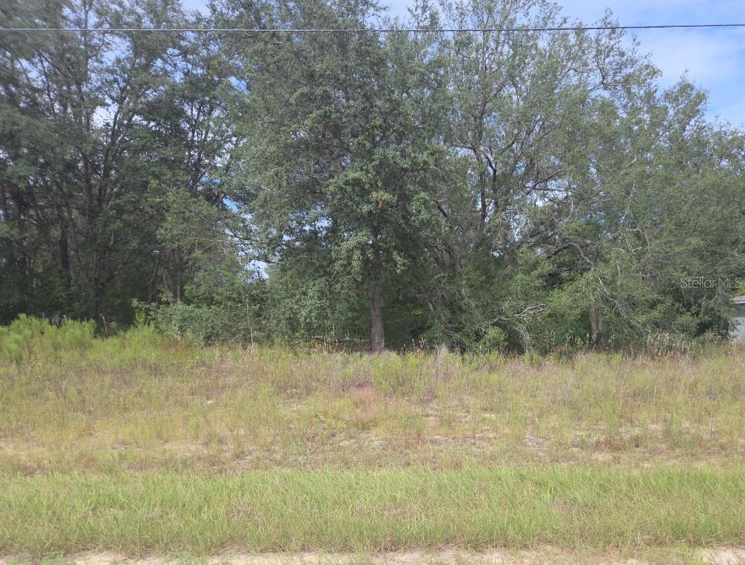 823 Dellbrook Lane, FL