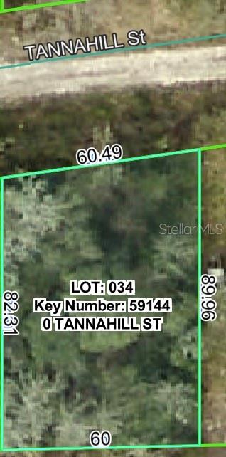 Tannahill Street, FL