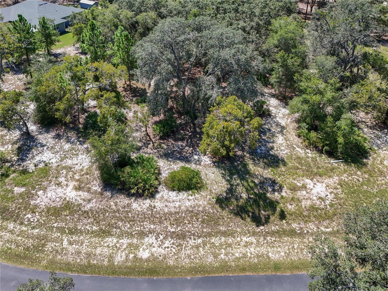 3134 Bright Lake Circle, FL