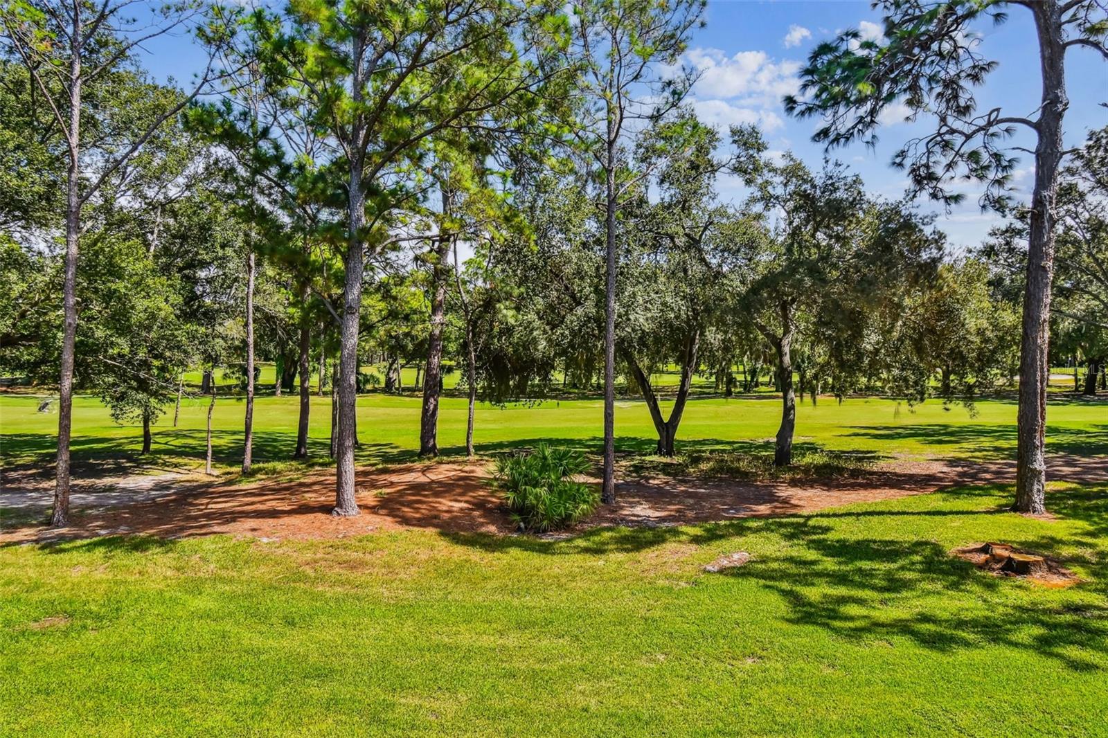 36750 Us Highway 19, FL