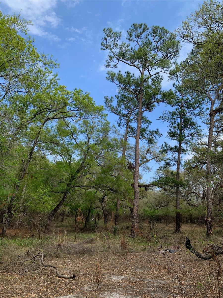 33074 Ranch Road, FL