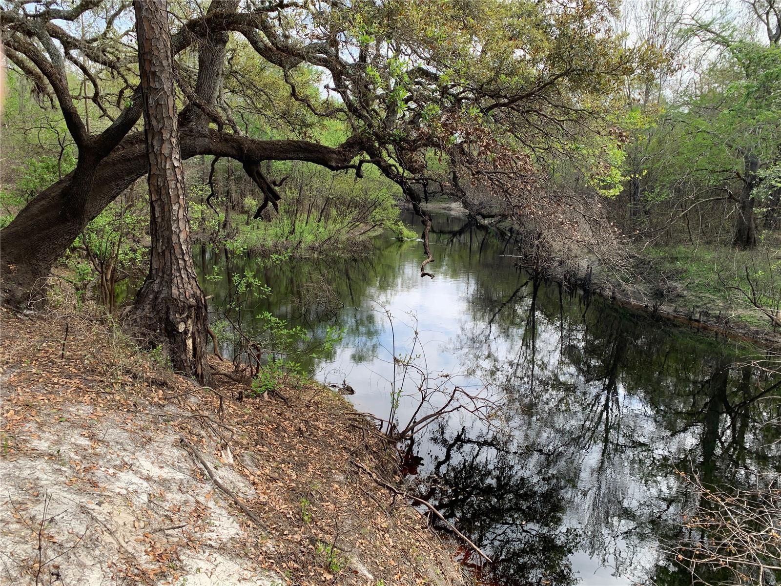 33074 Ranch Road, FL