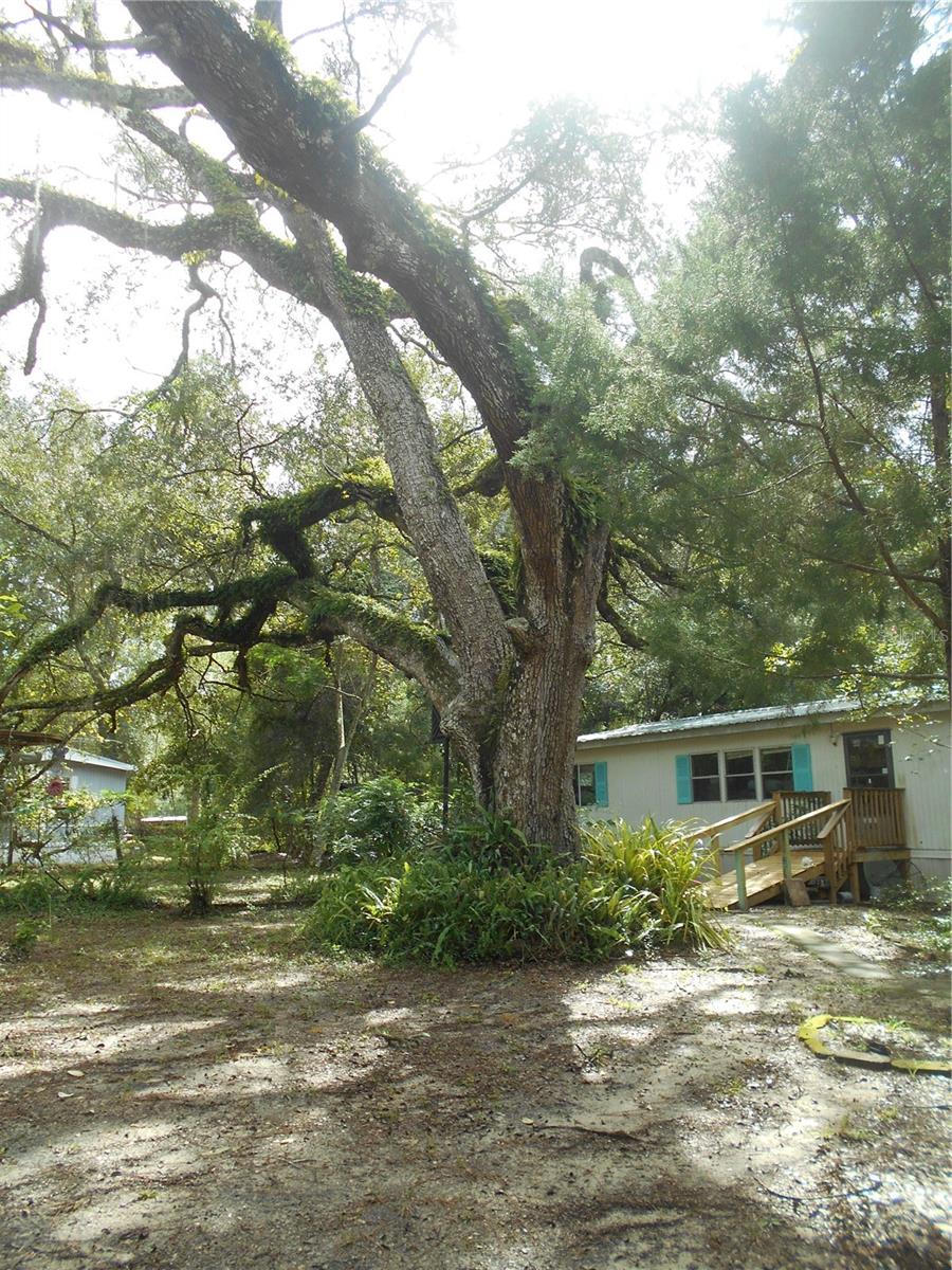 20425 143rd Street, FL