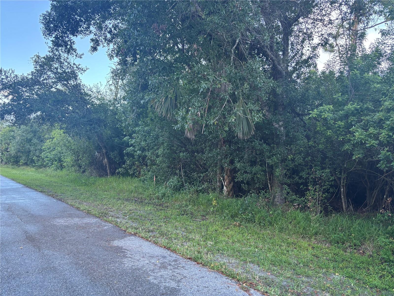 919 Phyllis Ter, FL