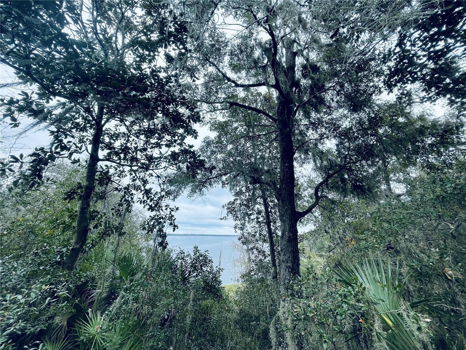 Tbd Ne 245th Street Road, FL