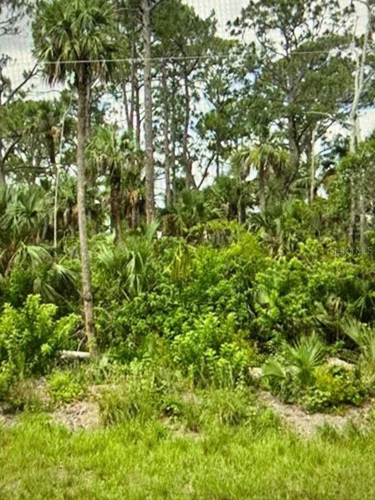 625 Greenbriar Blvd, FL
