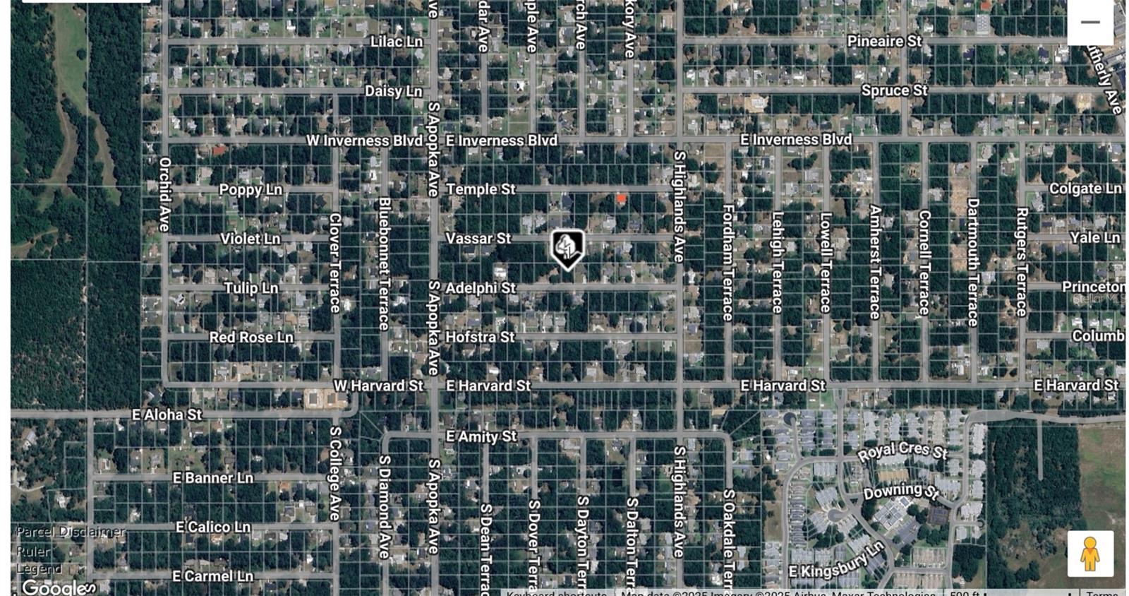 218 Adelphi St, FL
