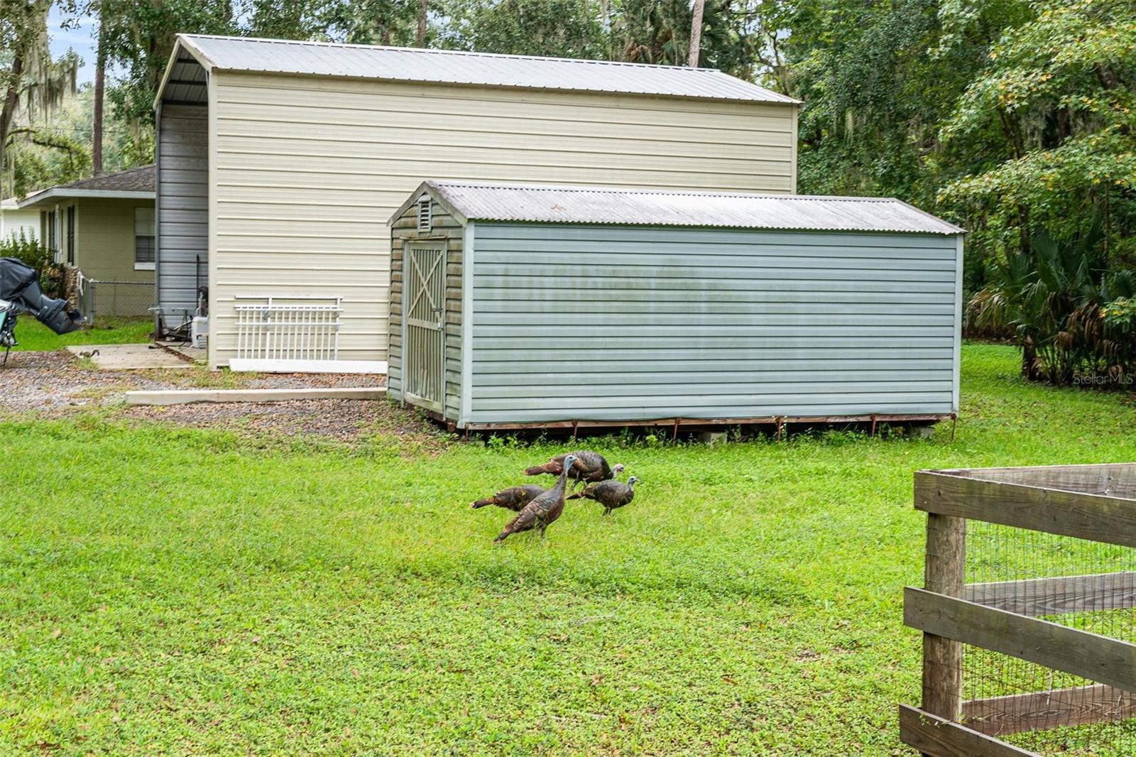2841 Belinda Drive, FL