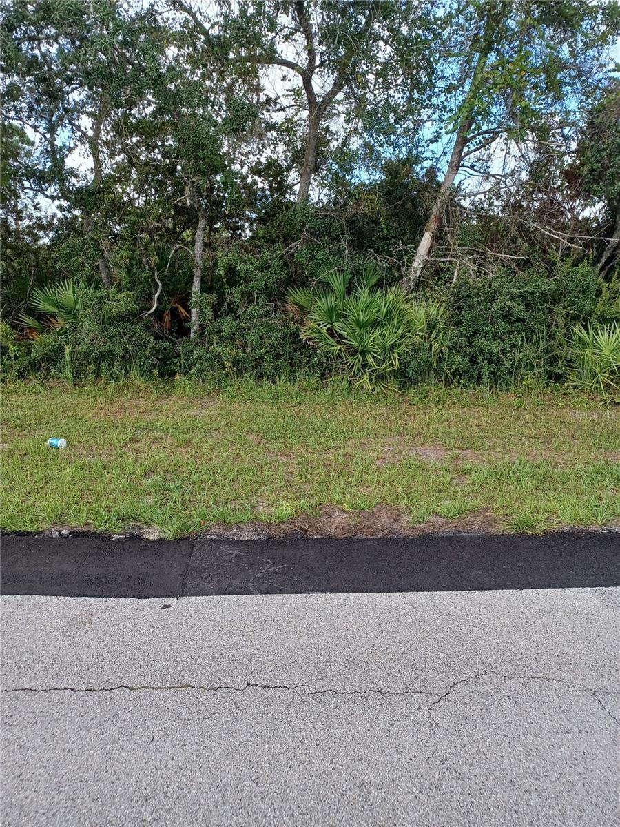 2848 Jewel Ave, FL