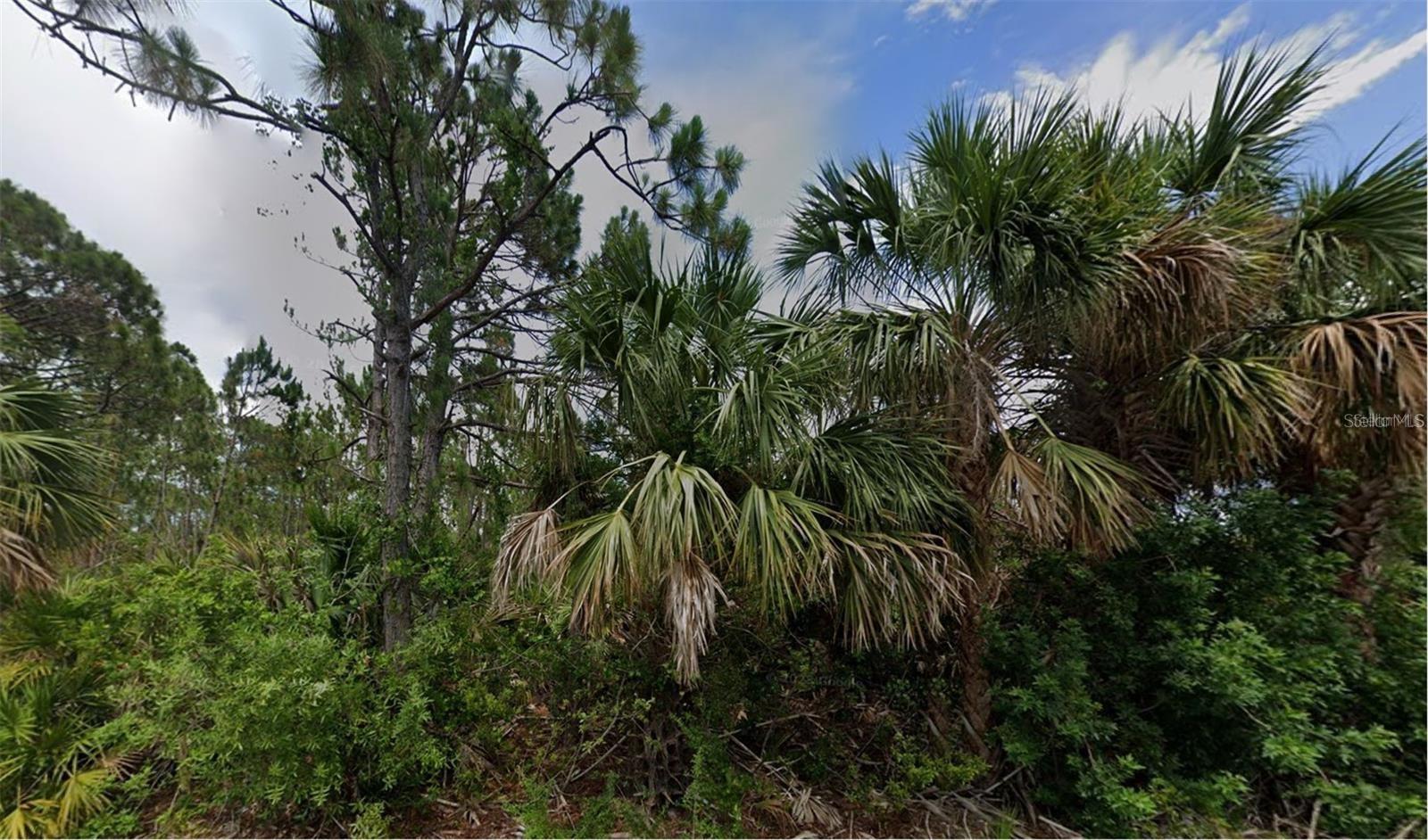 2504 Lyric Street, FL