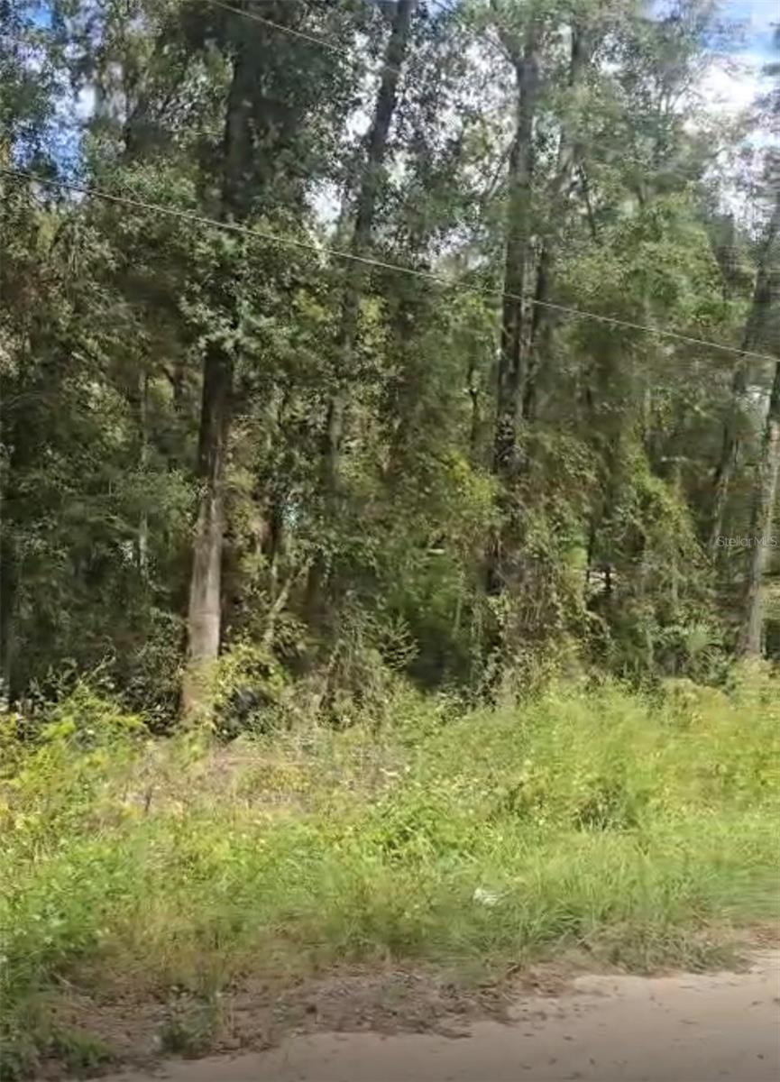 Sw 137 Ave, FL