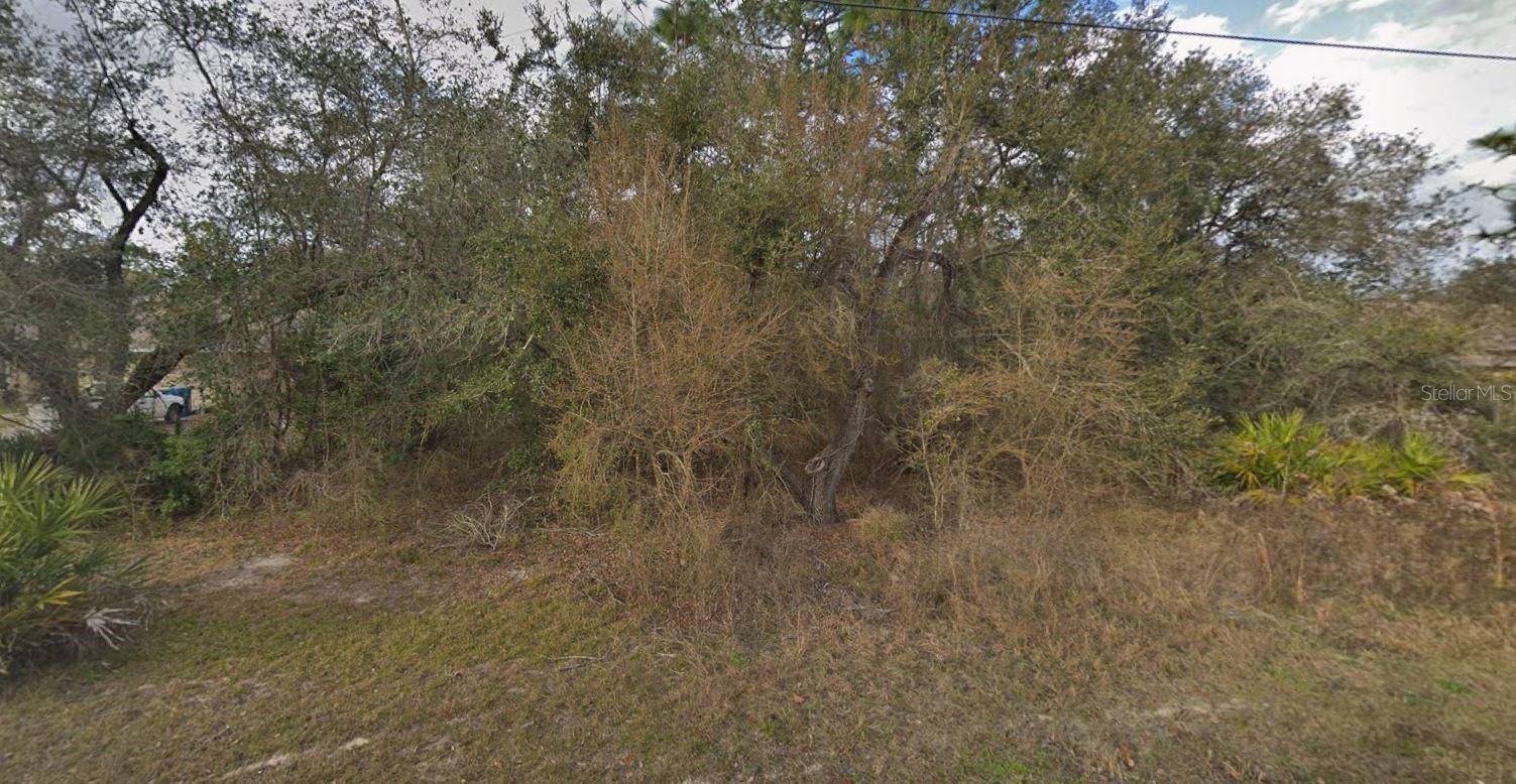 11405 Petrel Avenue, FL