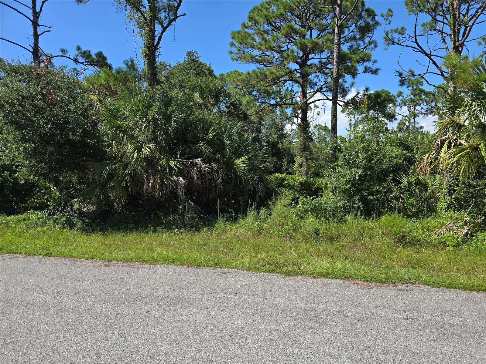 14506 Carousel Lane, FL