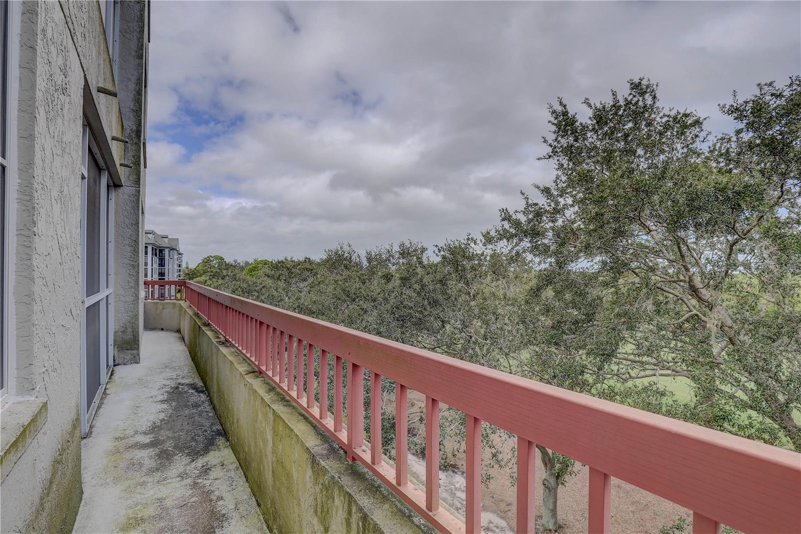 2333 Feather Sound Drive, FL