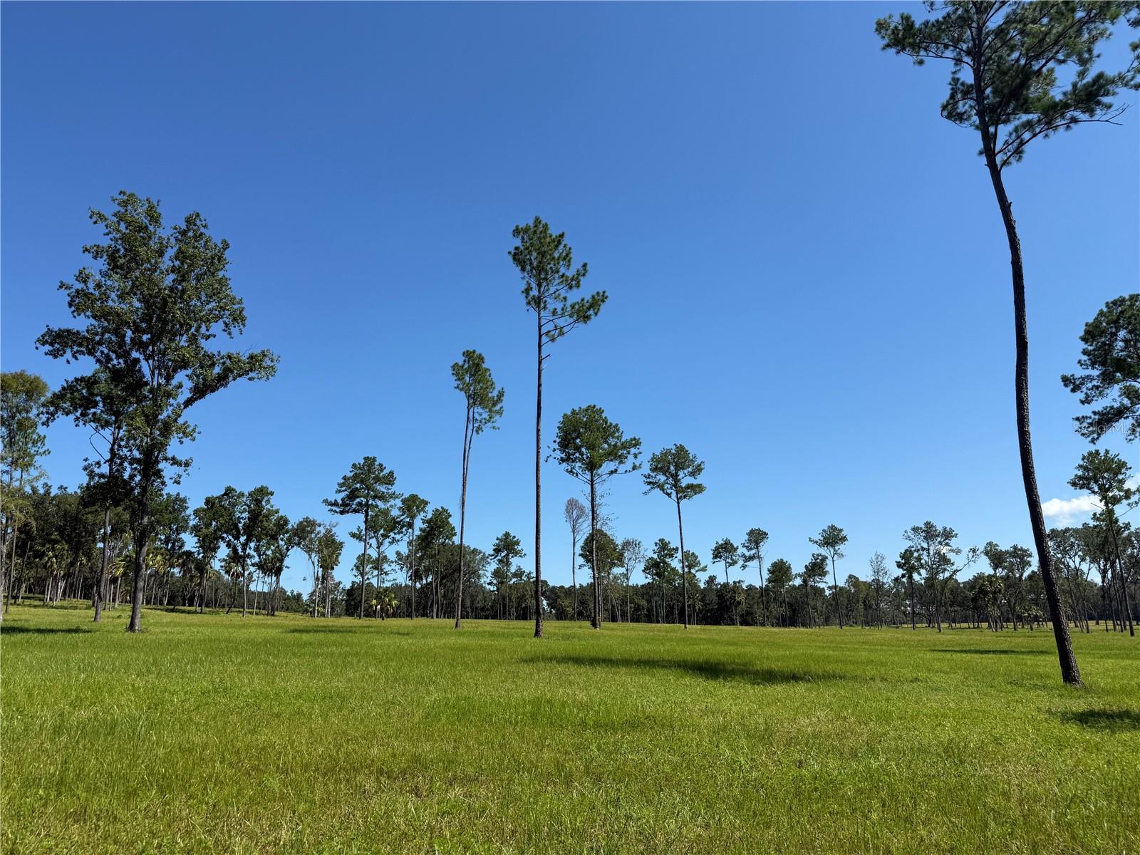 Dr #5 (24ac) Nw 193rd St, FL