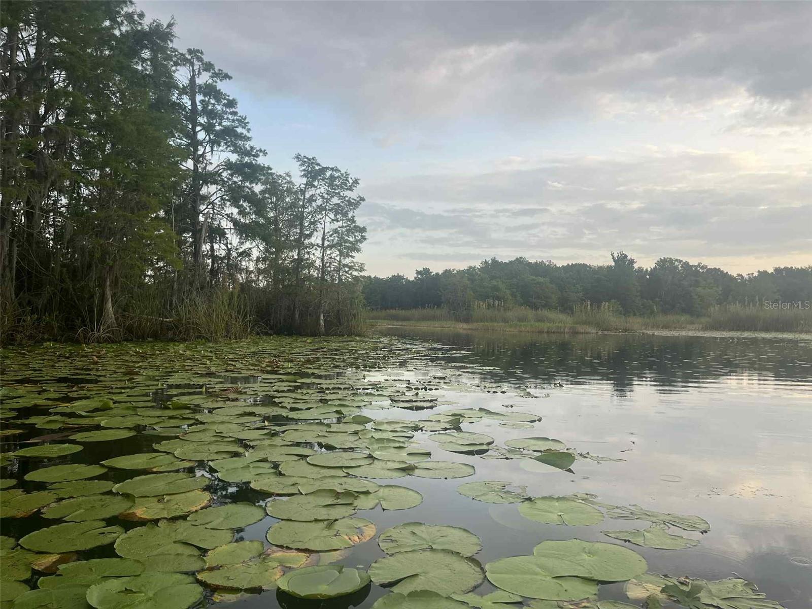 1135 Jackadee Point, FL