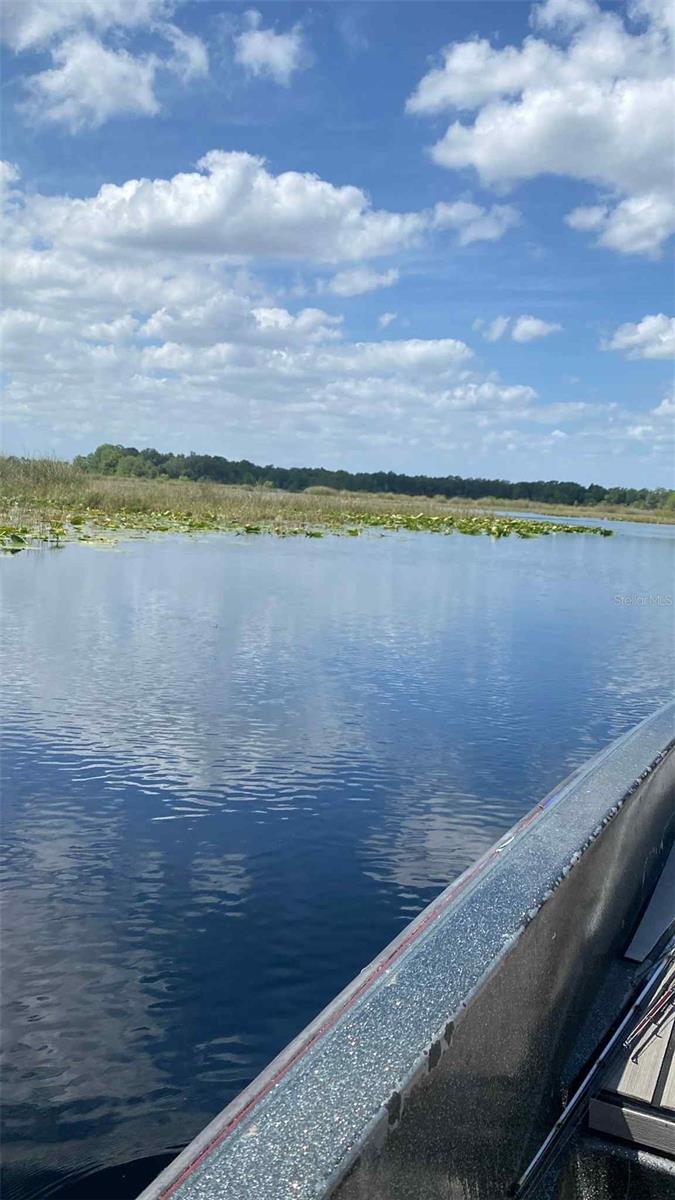 1135 Jackadee Point, FL