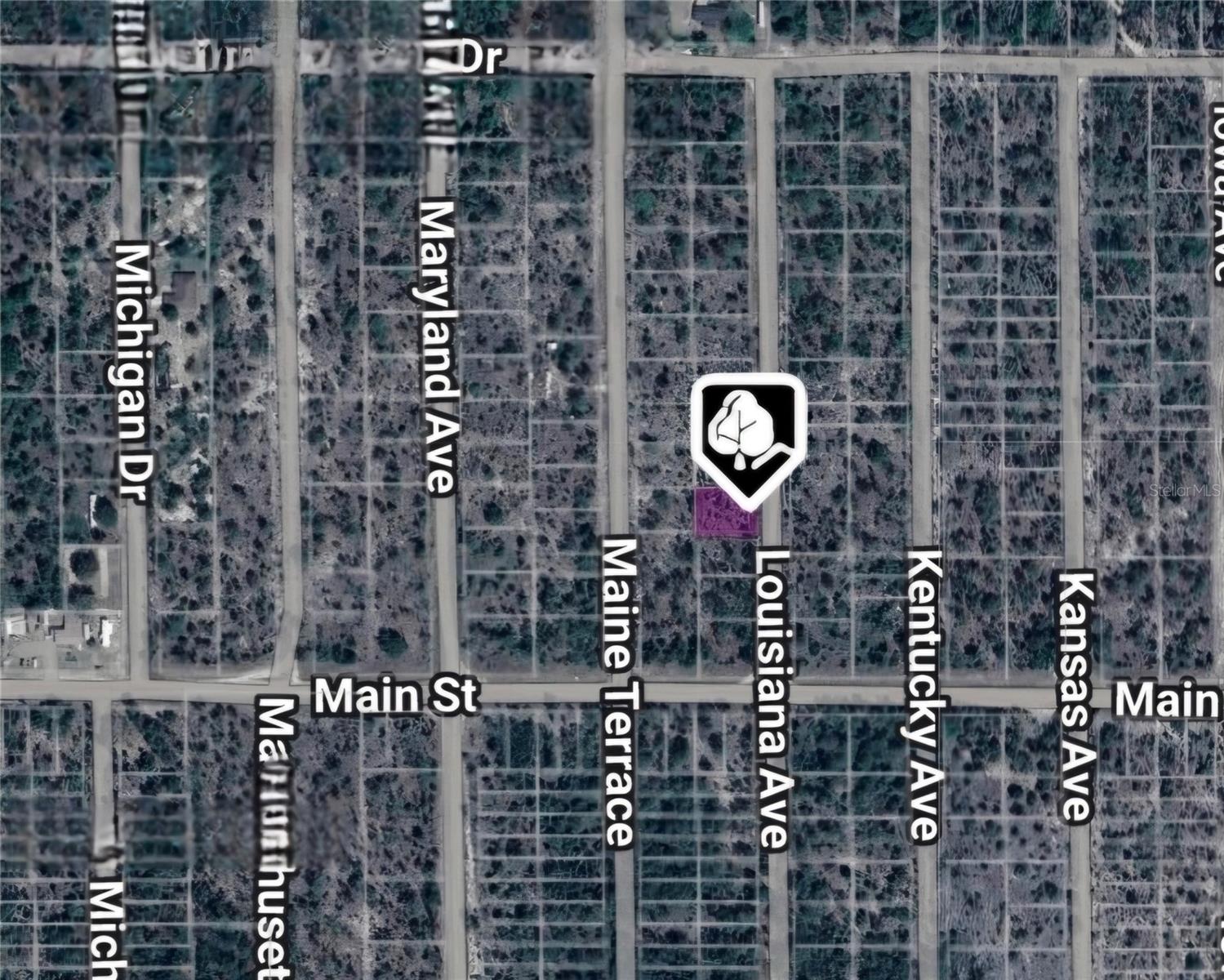 Lot 19 And 20 Louisiana Ave, FL
