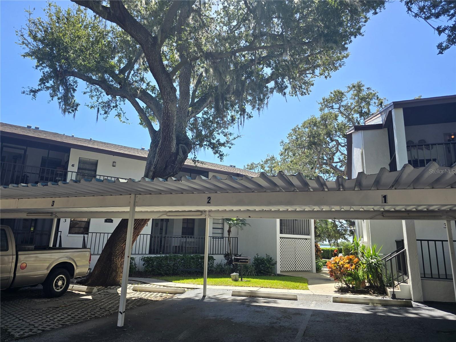 411 Bayshore Boulevard, FL