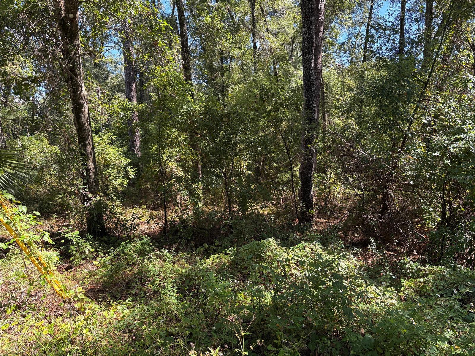 1228 Clover Terrace, FL