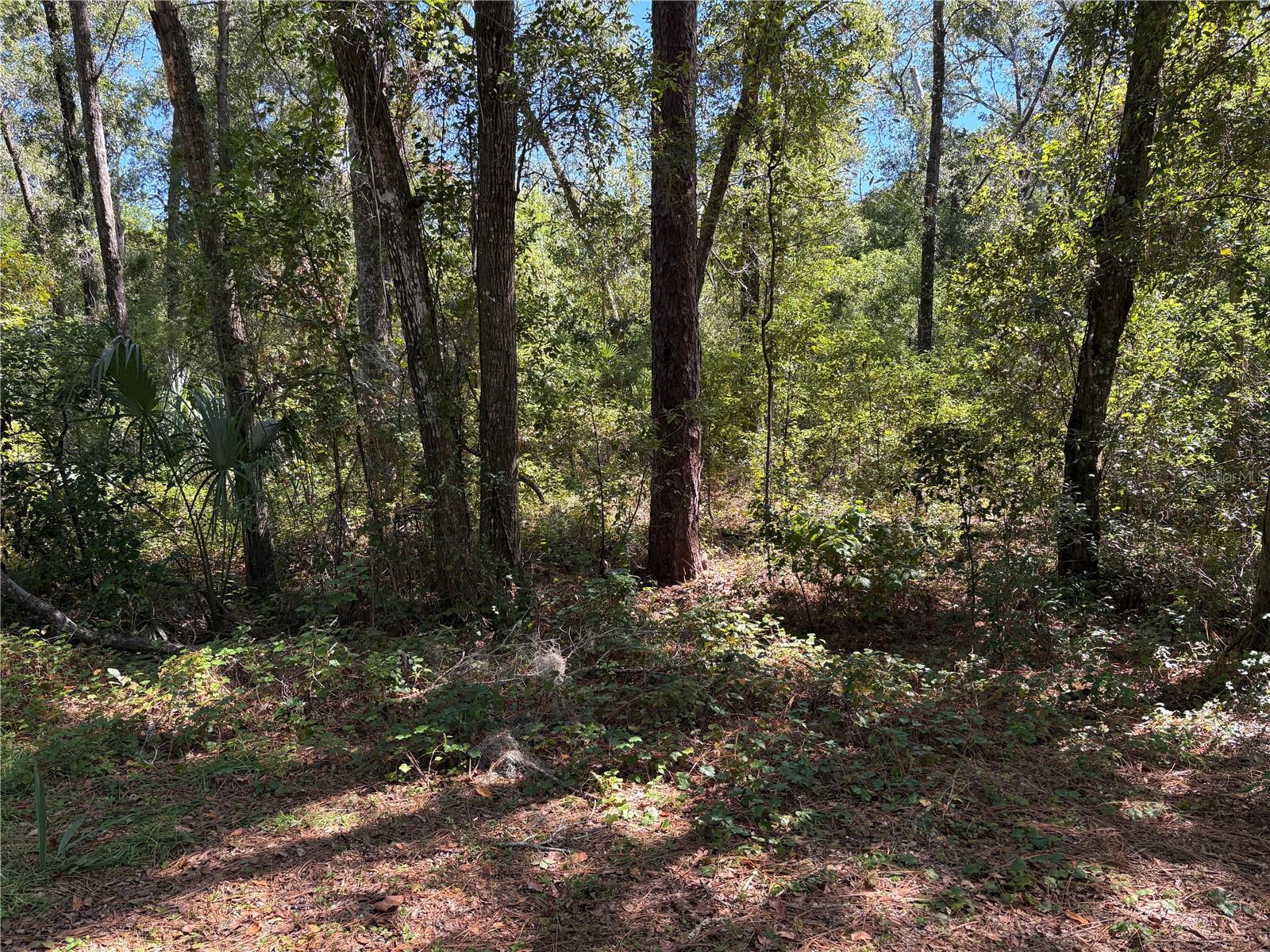 1222 Clover Terrace, FL