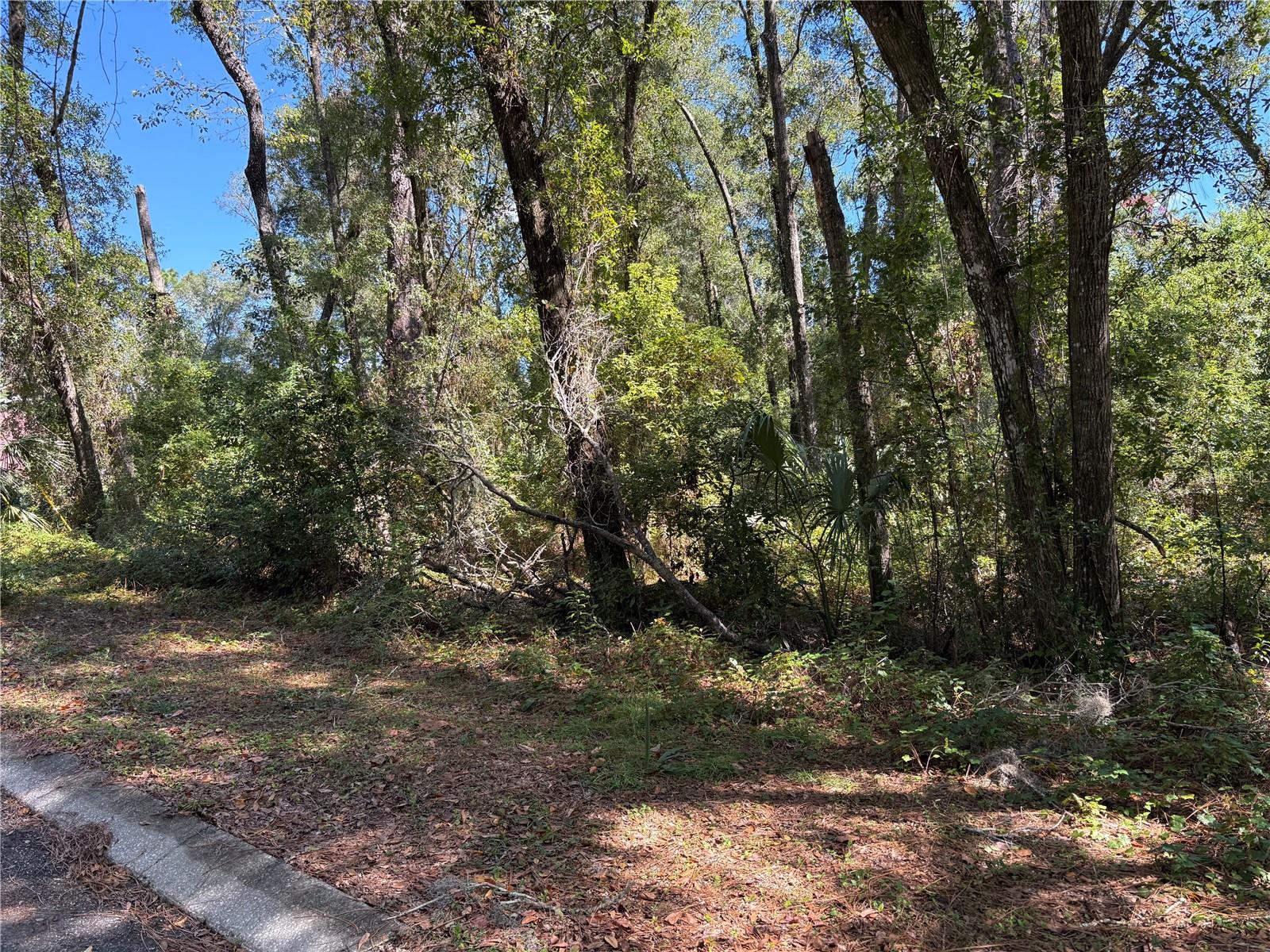 1222 Clover Terrace, FL