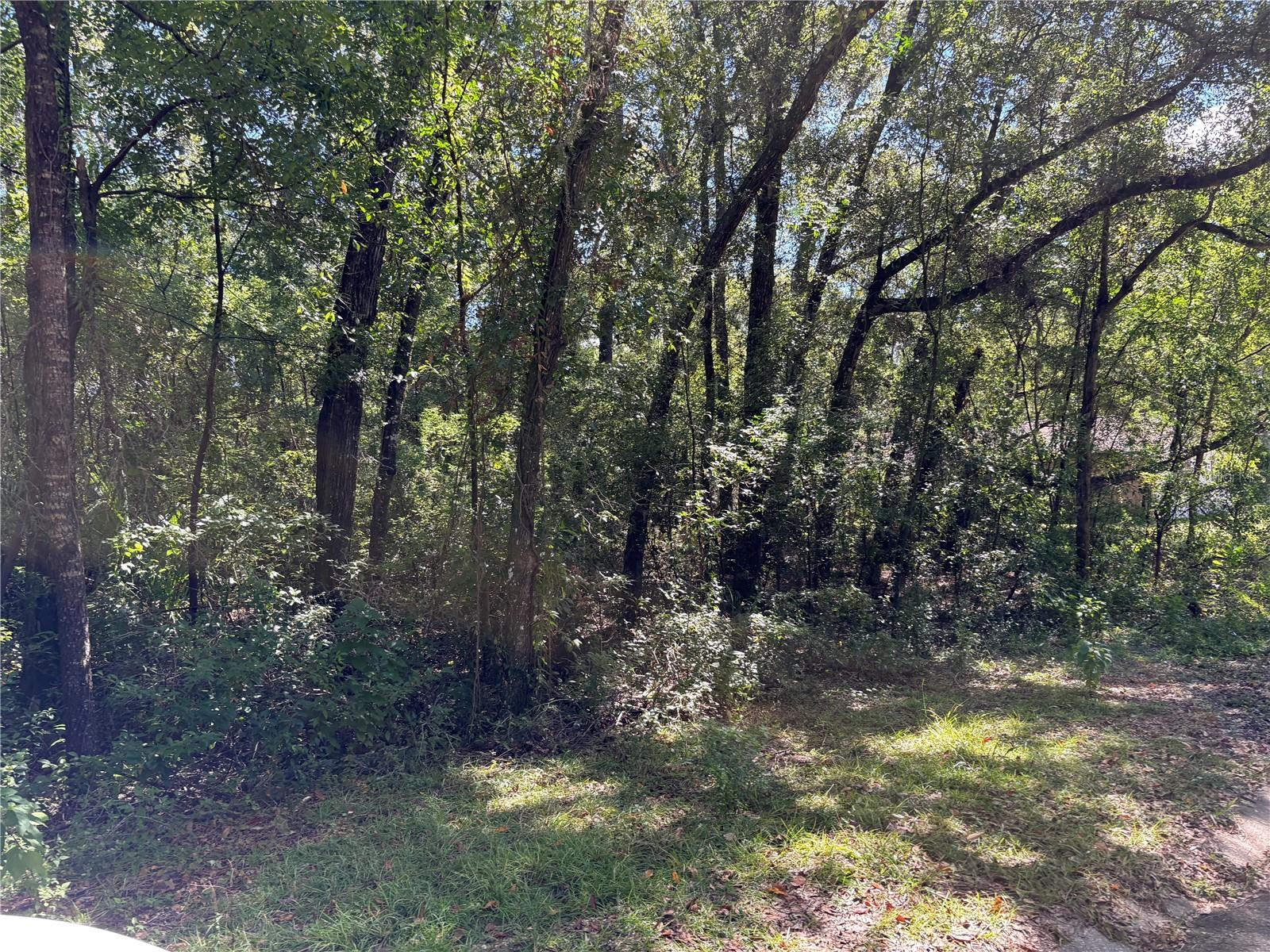 1222 Clover Terrace, FL