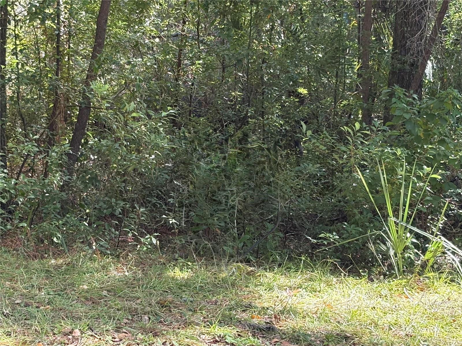 1222 Clover Terrace, FL