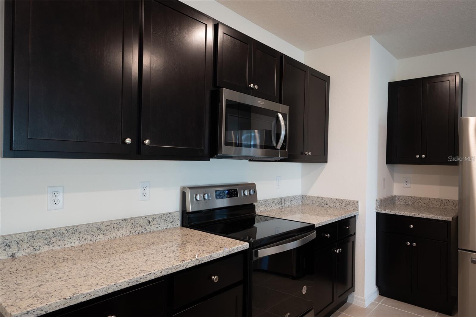 2464 Ribbon Fall Avenue, FL