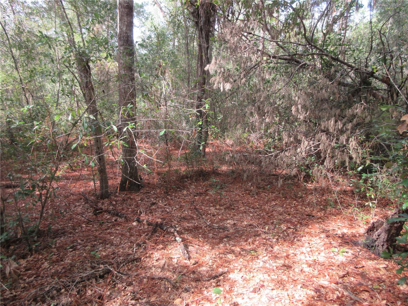 171st Court, FL